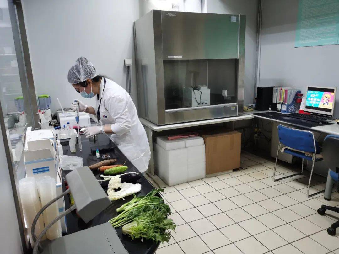 吴川食品检测实验室装修方案